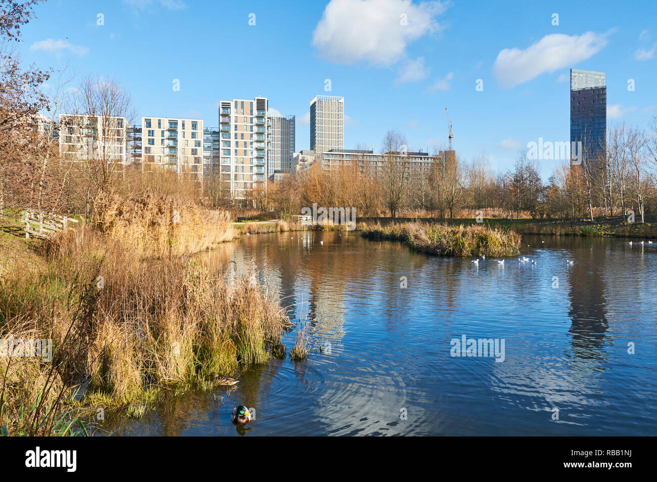Feuchtgebiete zu Fuß im Queen Elizabeth Olympic Park, Stratford, London UK, mit Apartments im East Village Stockfoto