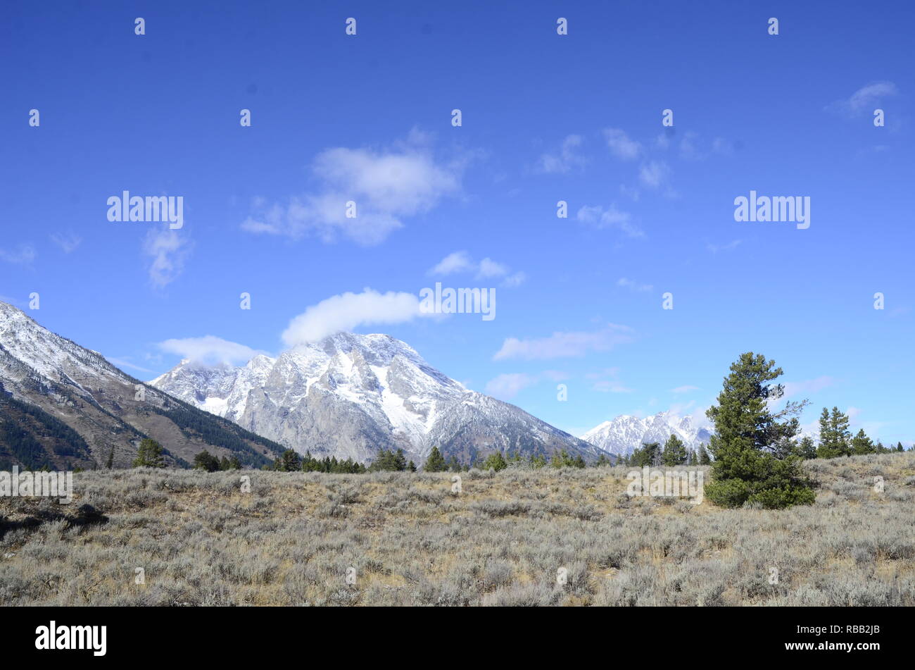 Teton Bergkette vom Grand Teton National Park im US-Bundesstaat Wyoming Stockfoto