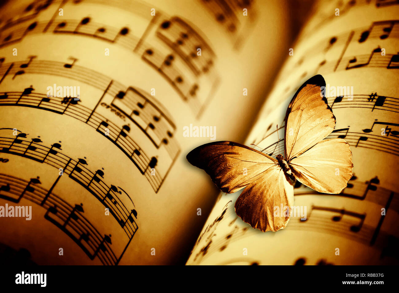 Sepia Bild einer geöffneten Musik Buch und ein Schmetterling über ihm Fliegen Stockfoto