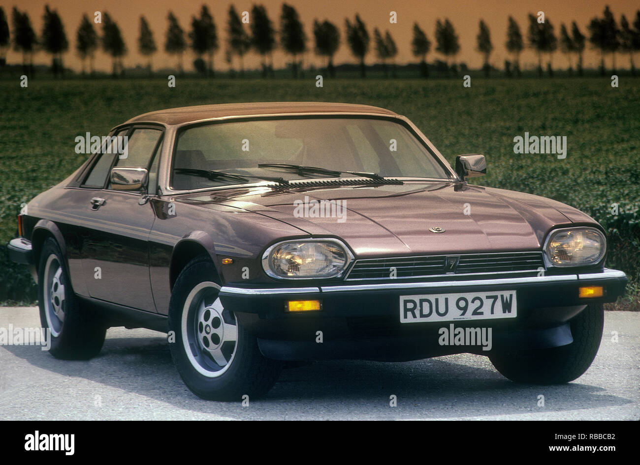 1981 Jaguar XJS Stockfoto