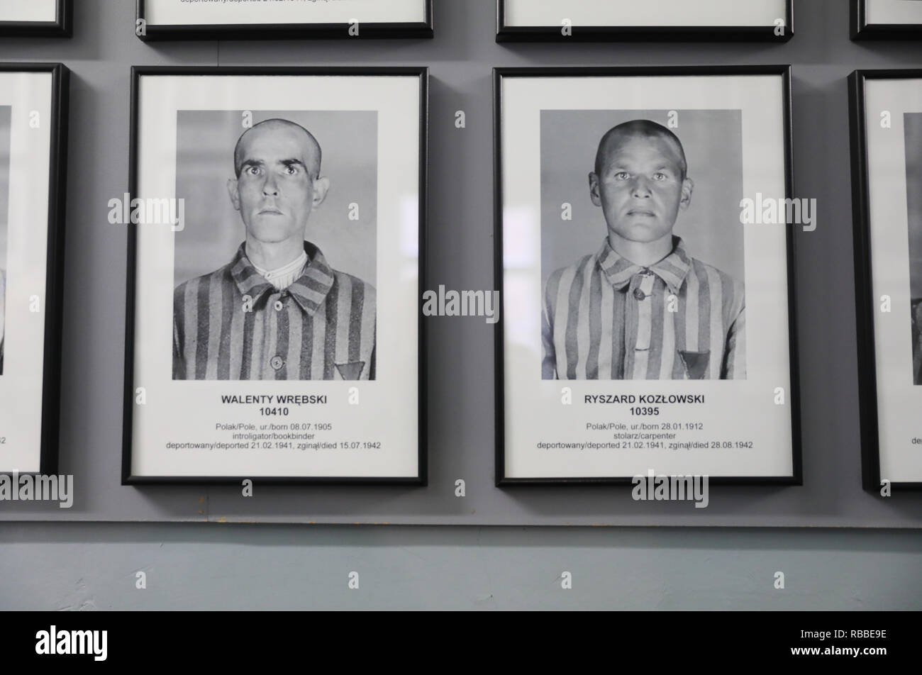 Fotos von Gefangenen an den Wänden in den sich bewegenden Ausstellung bei Auschvitz 1 Konzentrationslager in Polen Stockfoto