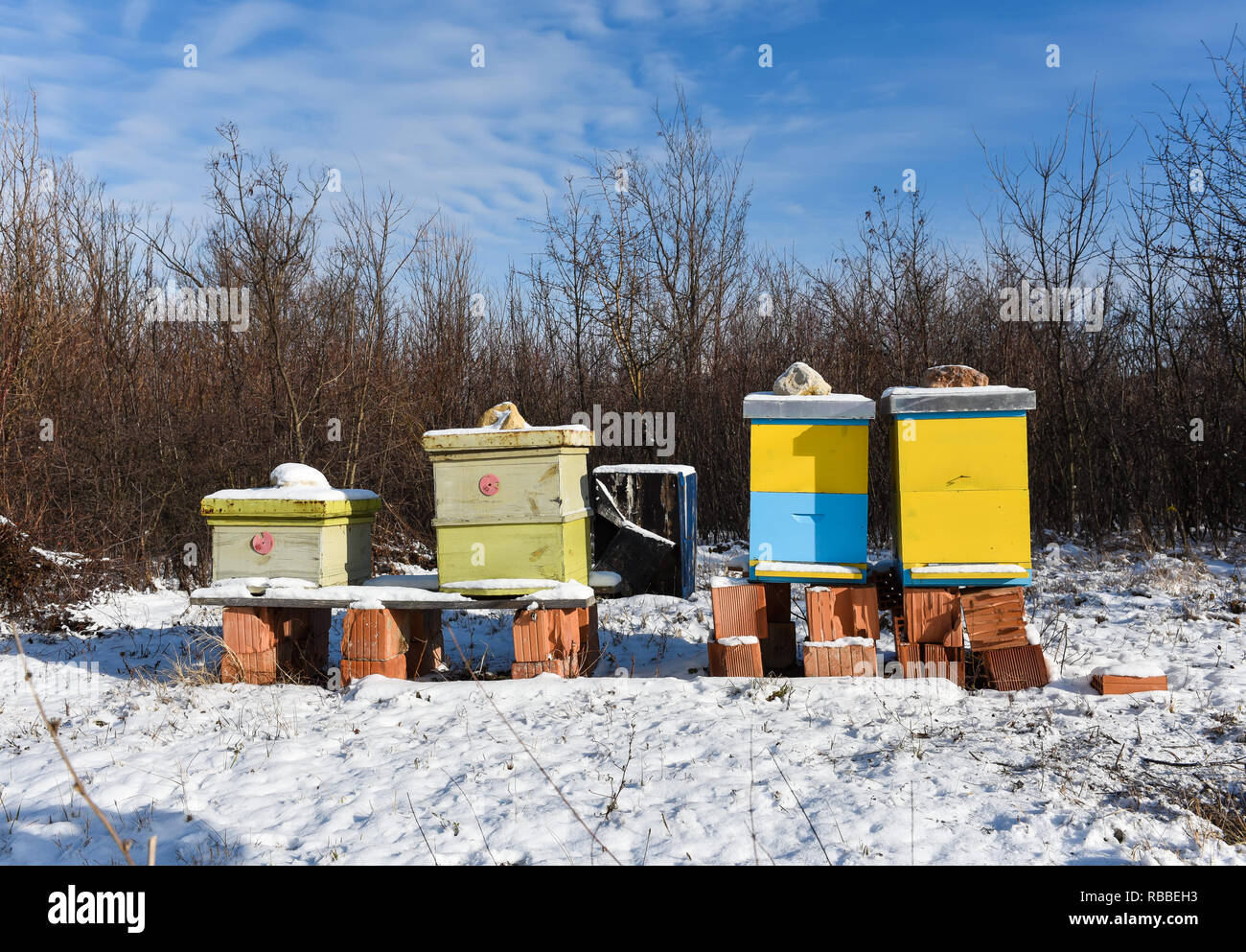 farbenfrohe Bienen beherbergen serbien Stockfoto