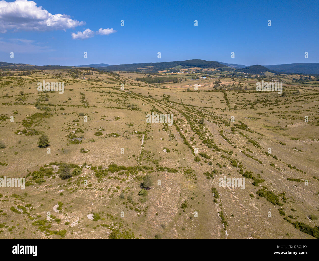 Bird's Eye Luftaufnahme von Kalkstein Kalkstein Karstlandschaft der Causse Noir in den Cevennen Frankreich Stockfoto