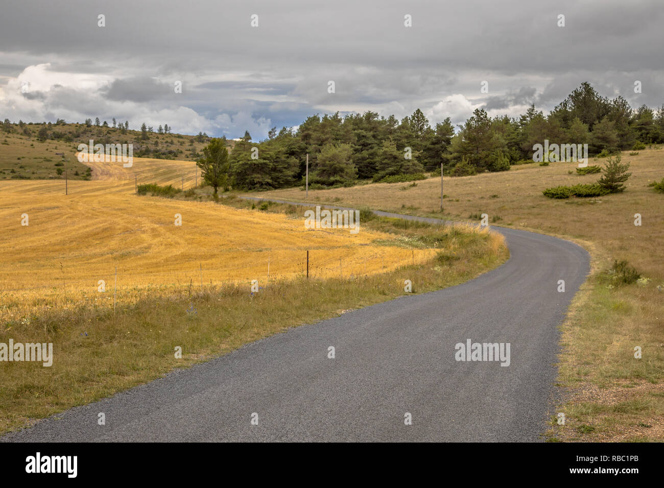 Kurvenreiche Straße durch Kalkstein Kalkstein Karstlandschaft der Causse Noir in den Cevennen Frankreich Stockfoto