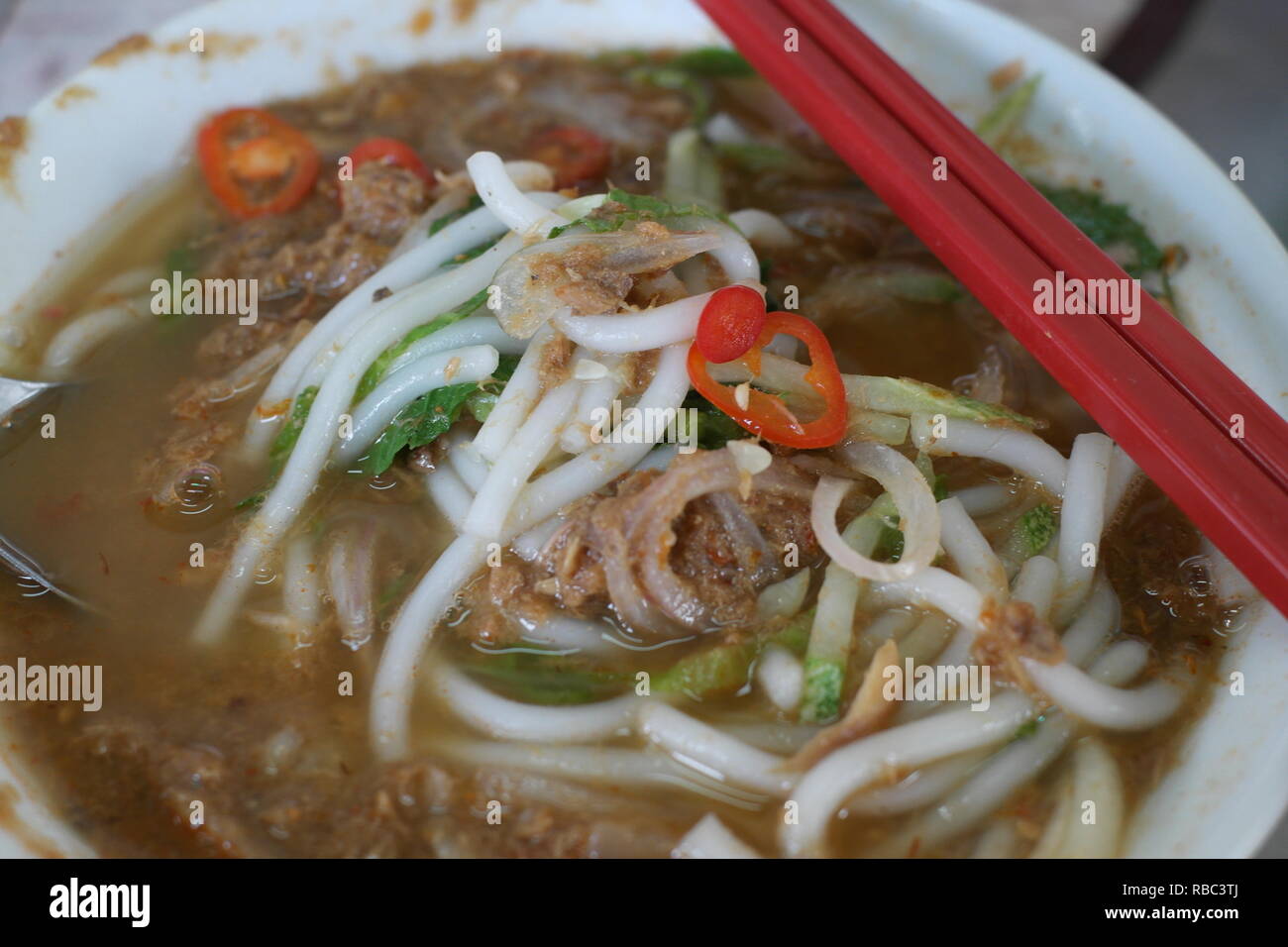 Delonix regia Pflanze Stockfoto