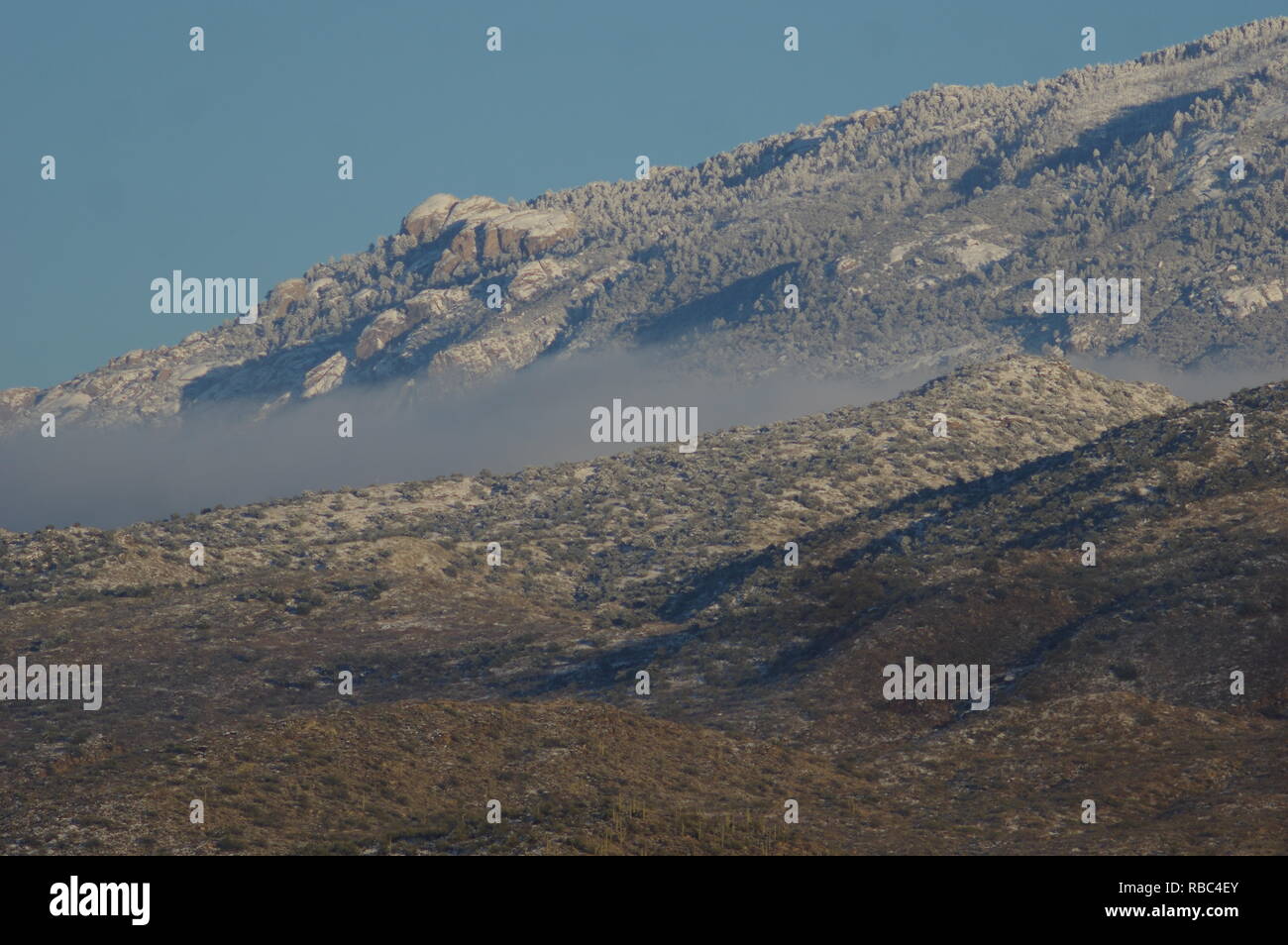 Winter gesehen, nachdem ein neues Jahr Schnee Sturm 2019 Tucson, Arizona Stockfoto