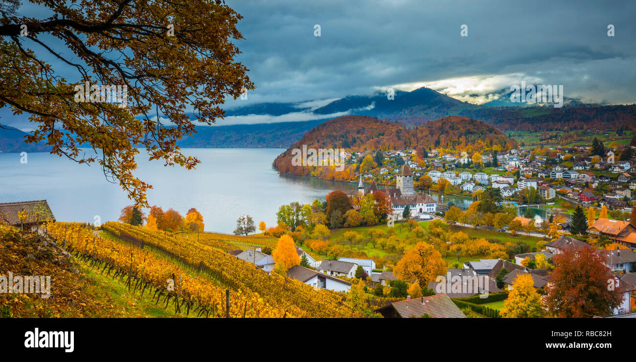 Spiez Schloss und Weinbergen, Berner Oberland, Schweiz Stockfoto