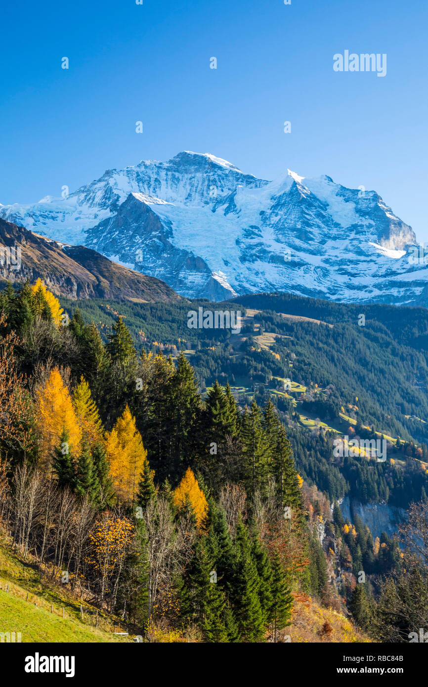 Wengen, und Jungfrau, Berner Oberland, Schweiz Stockfoto