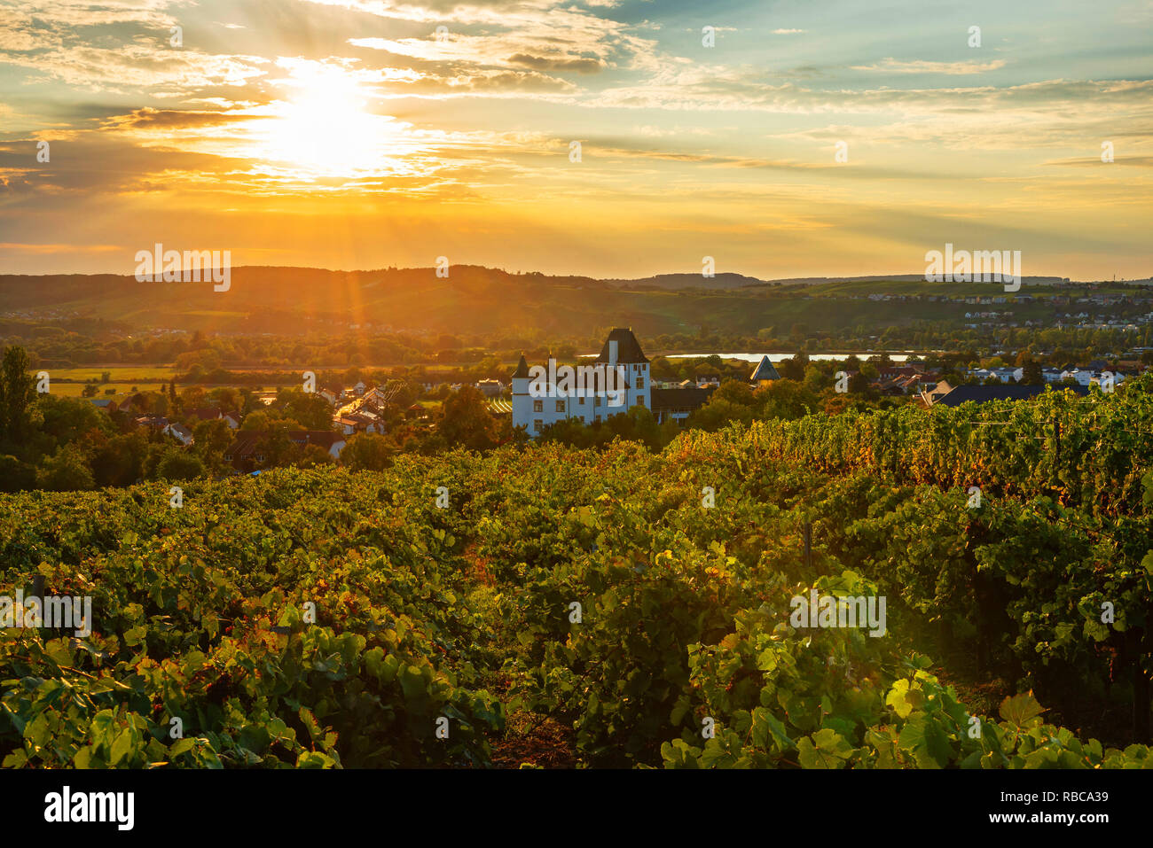 Weinberg mit Schloss Hotel, Casino und 3 Sterne Restaurant Victor's Residenz, Nennig, Moseltal, Saarland, Deutschland Stockfoto
