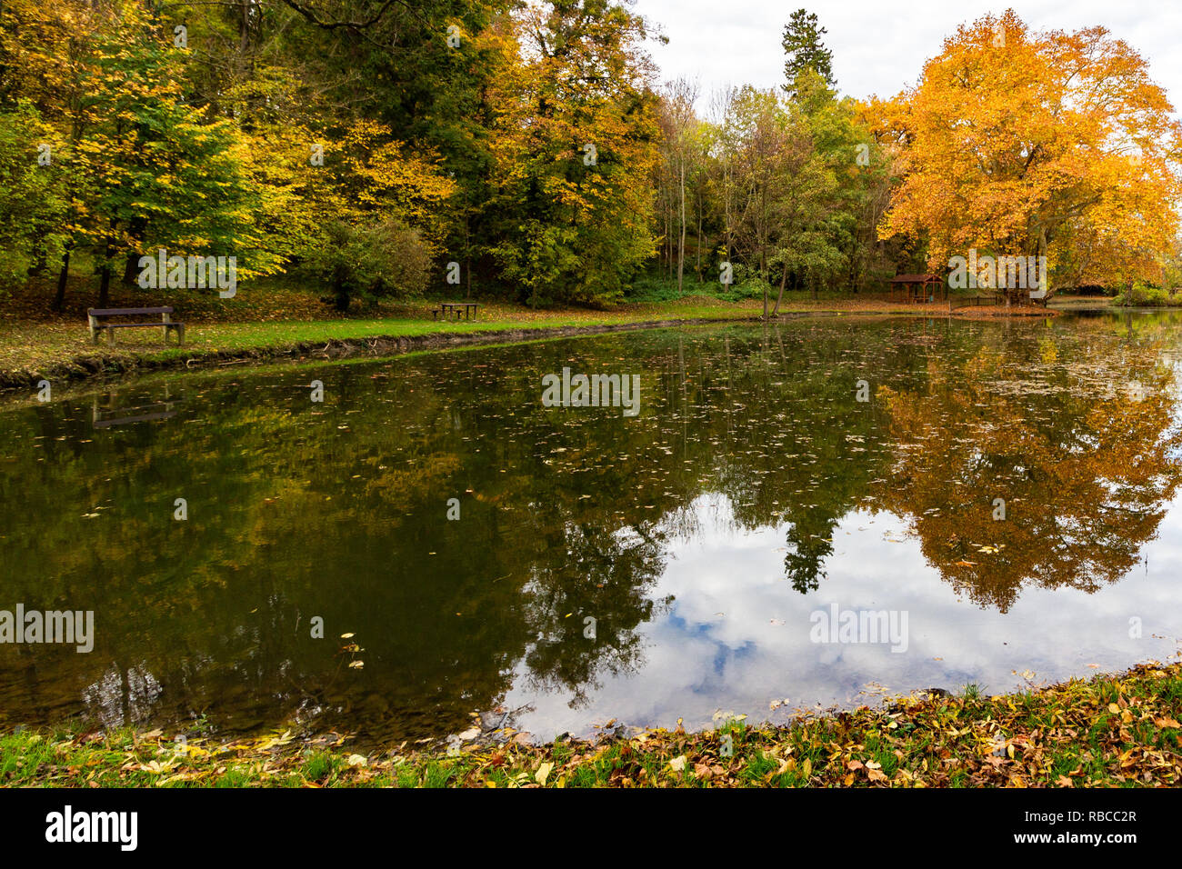 Ein künstlicher See in dem großen Garten im englischen Stil einer ehemaligen Burg in Peresznye, Ungarn. Auf der rechten Seite, es ist eine einzigartige, 300 Jahre alte Platane Stockfoto