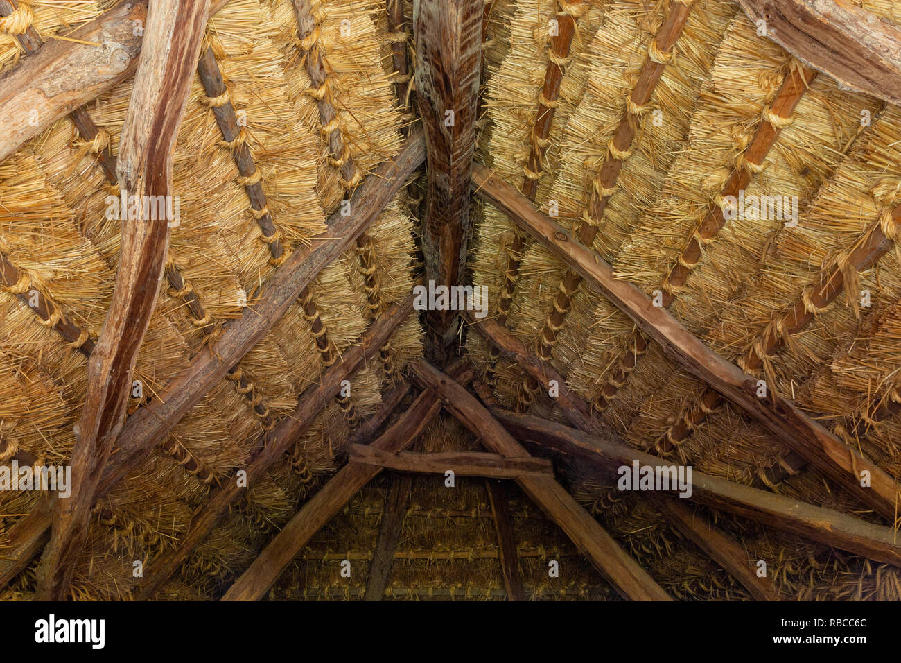 Die strohgedeckten Dach eines Hauses in der so genannten Reihe von Weinkellern Freilichtmuseum in Cak, Ungarn. Kleines Haus für Sie Trauben und Lagerung von Obst Stockfoto