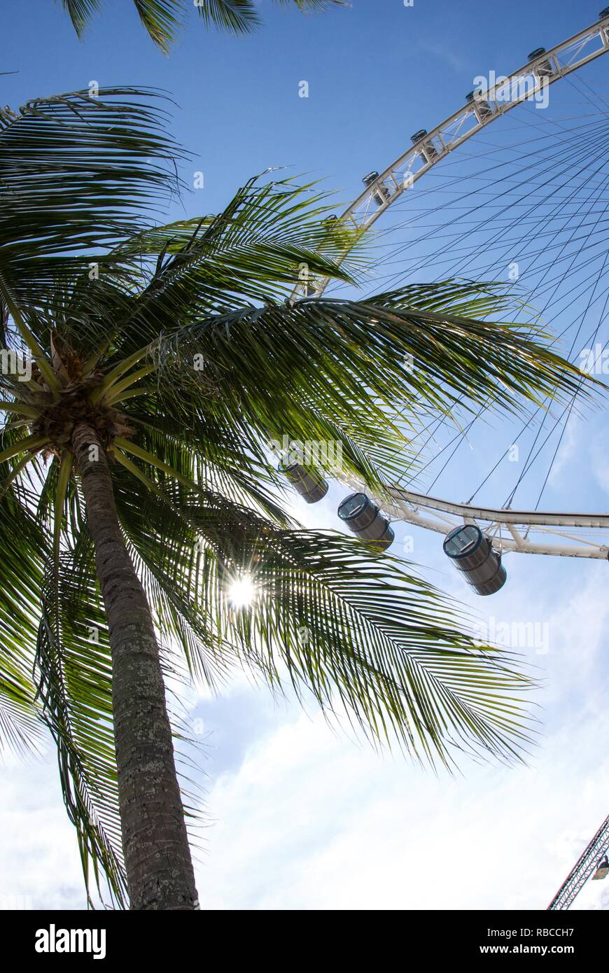 Liegen unter Palmen am Riesenrad in Singapur suchen Stockfoto