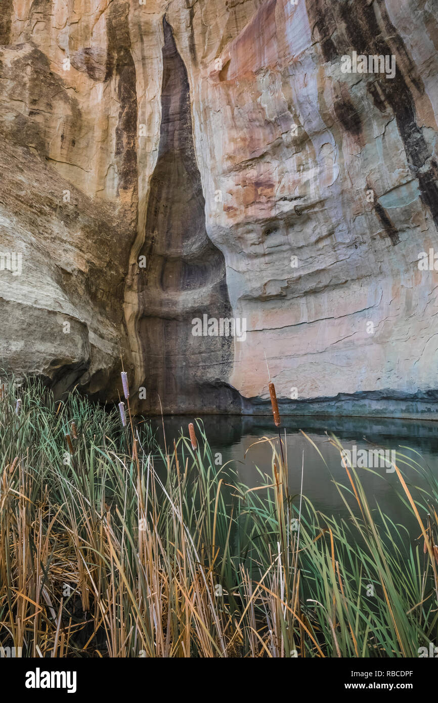 Dieser Pool hat eine kritische Wasserquelle für Reisende und alten Bewohnern für tausend Jahre oder mehr, entlang der Inschrift Rock Trail gesehen Ich Stockfoto