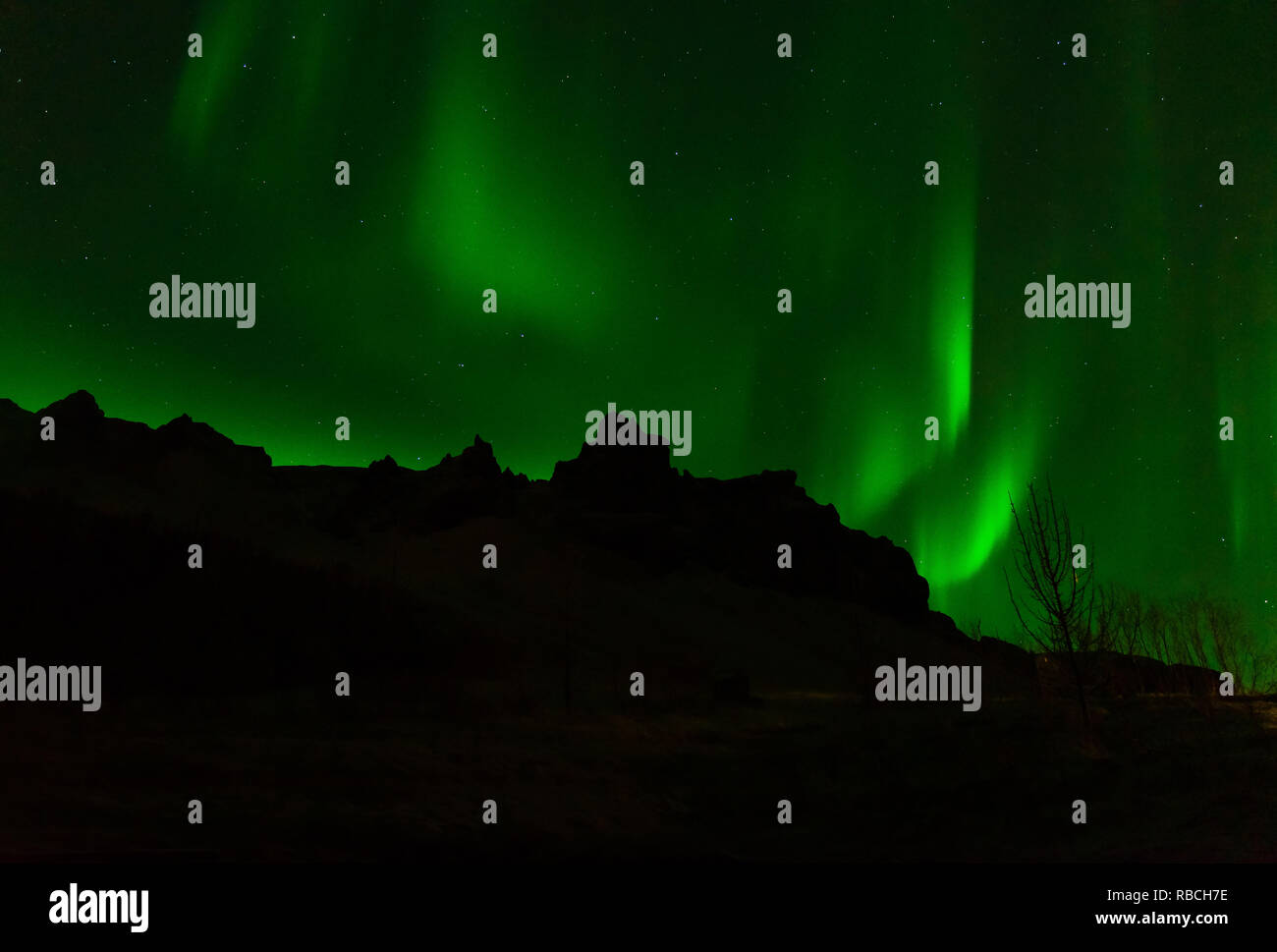 Nordlichter tanzen über die Landschaft von Island Stockfoto