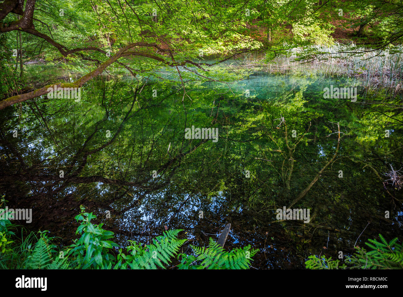 Nationalpark Plitvicer Seen. Lika Plješivica Mountain Range. Der Park fällt in zwei Grafschaften Lika-Senj und Karlovac. Weltkulturerbe der UNESCO Stockfoto