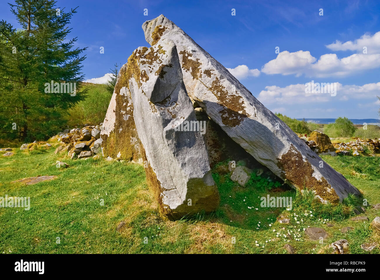 Irland, County Cavan, Cavan Burren Park, das Kalb Haus Dolmen. Stockfoto