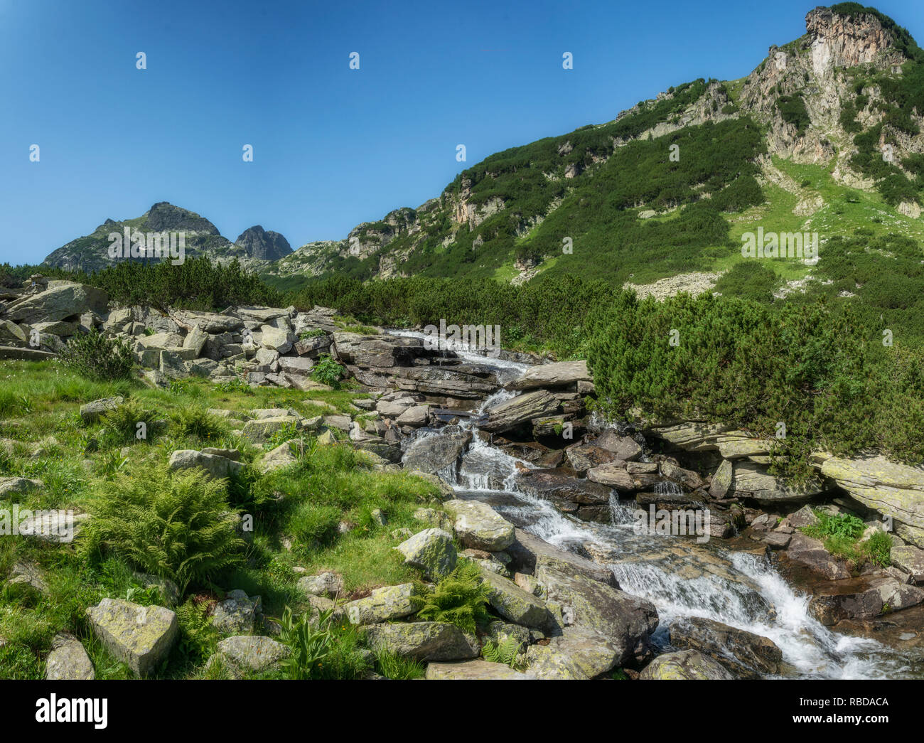 Malyovitsa Peak, Rila Gebirge, Bulgarien Stockfoto