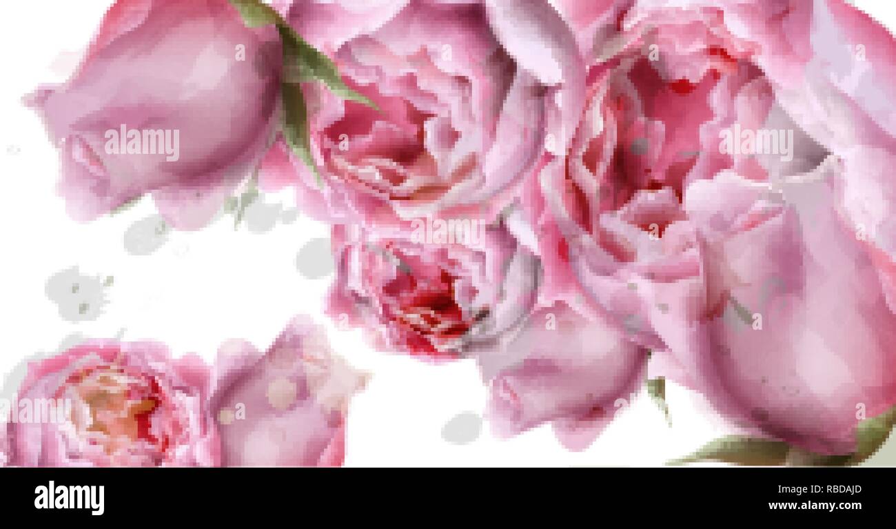 Pfingstrose Blumen Aquarell Hintergrund Vektor. Zarte Postkarte, Frauen Tag Grußkarte. Schönen Pastelltönen Stock Vektor