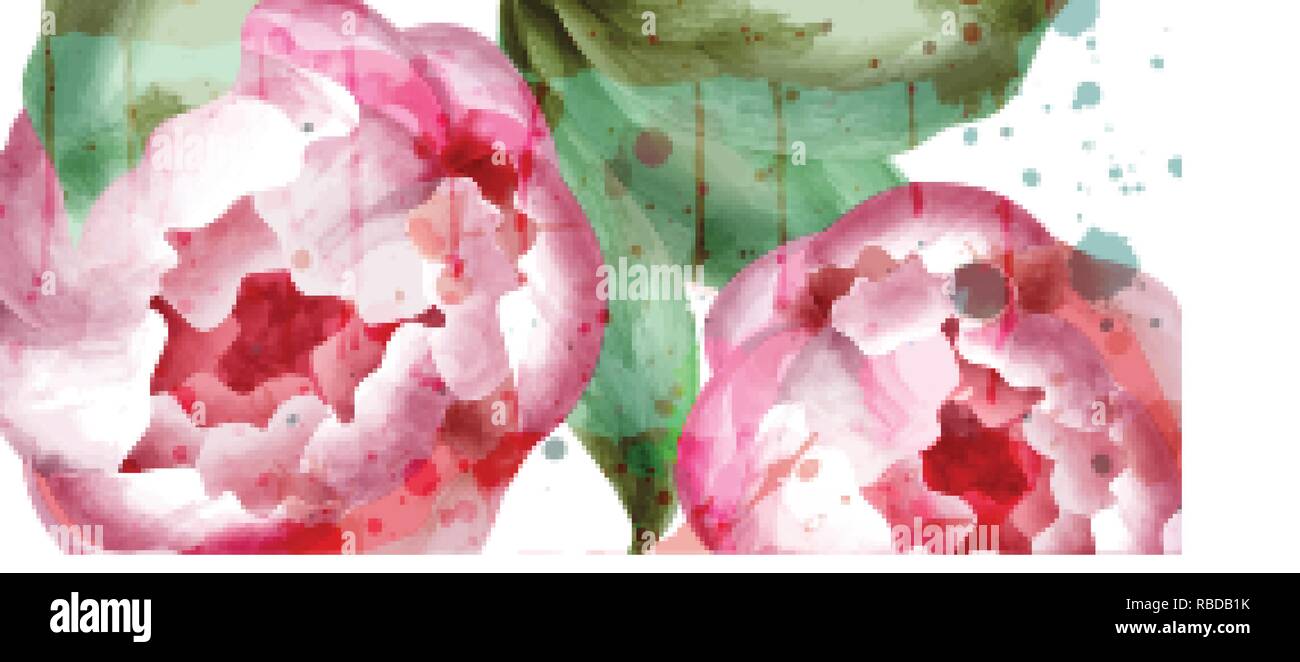 Pfingstrose Blumen Aquarell Hintergrund Vektor. Hochzeit Einladung, Zeremonie, zarte Postkarte, Frauen Tag Grußkarte. Schöner Frühling, trendige Farbe Stock Vektor