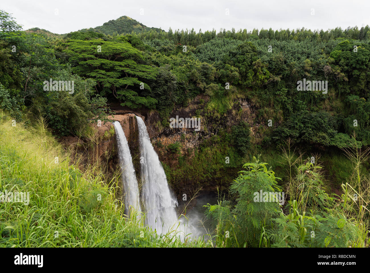 Wailua Falls, Kauai, Hawaii Stockfoto