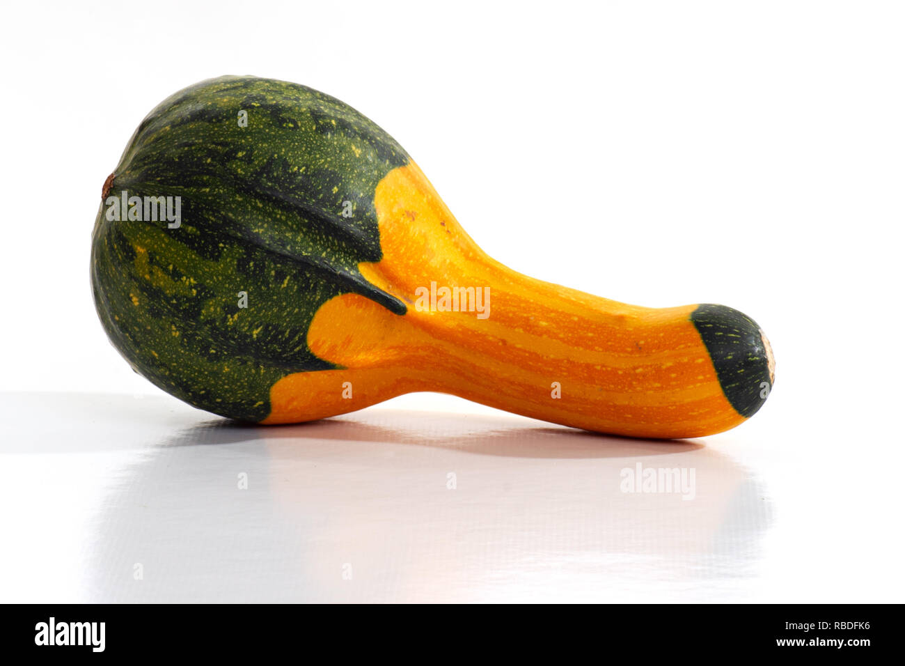 Dekorative Staude Stockfoto