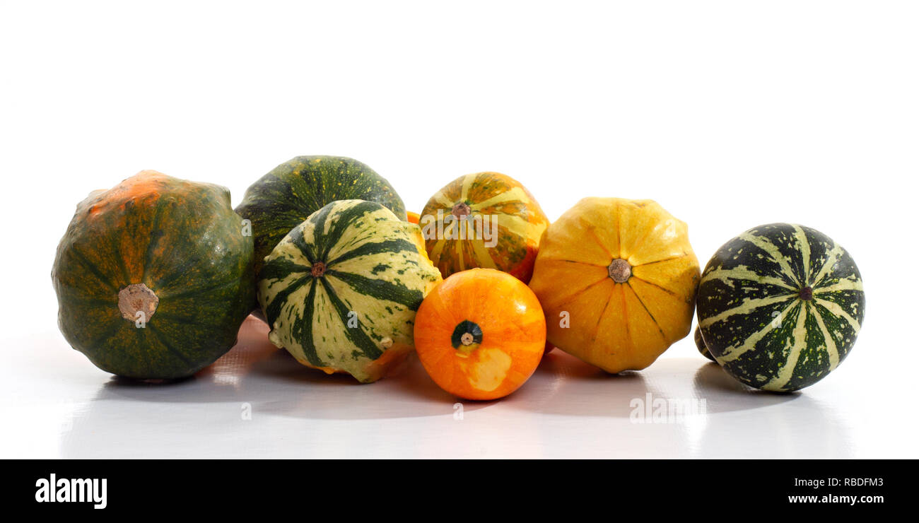 Dekorative Staude Stockfoto