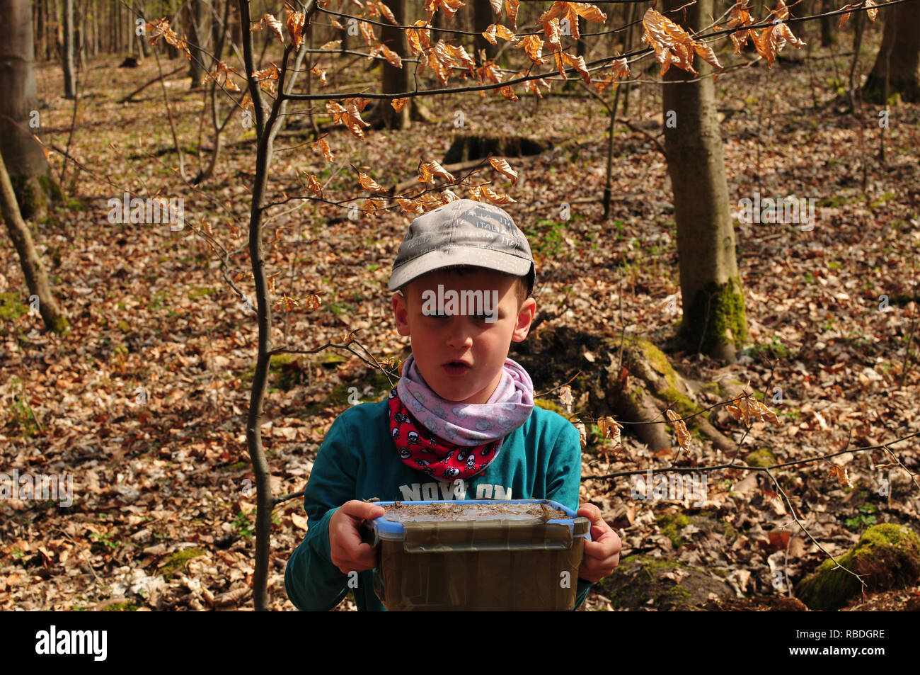 Geocaching Junge findet einen gut getarnten Cache im Wald Stockfoto