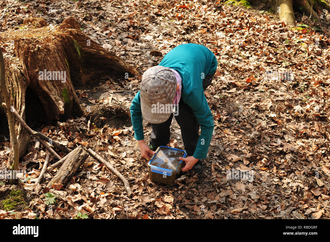 Geocaching Junge findet einen gut getarnten Cache im Wald Stockfoto