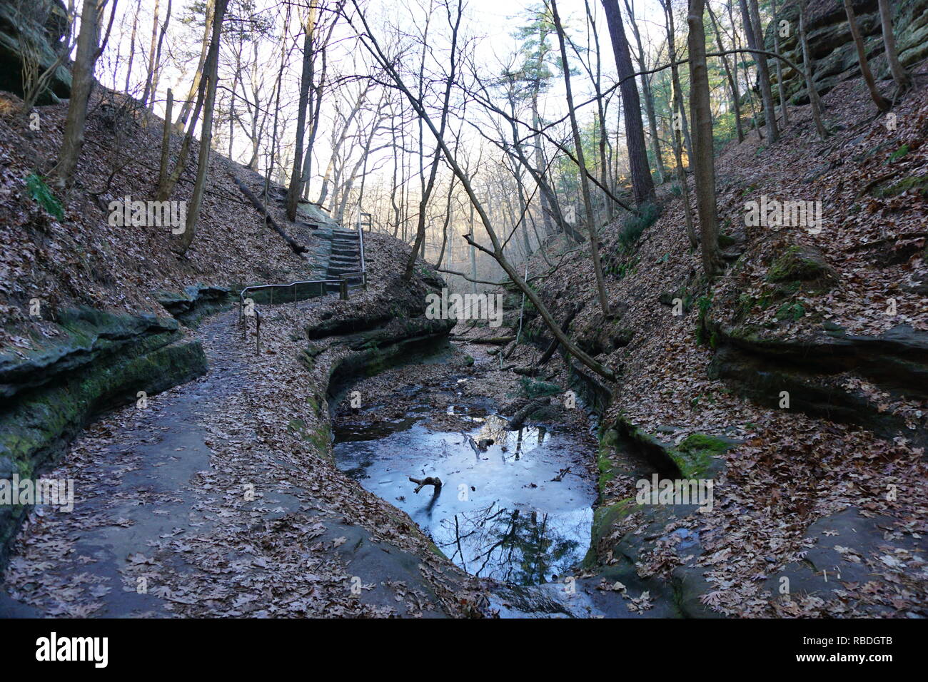 Hill und Pfad, ausgehungert Rock State Park, Northern Illinois Stockfoto