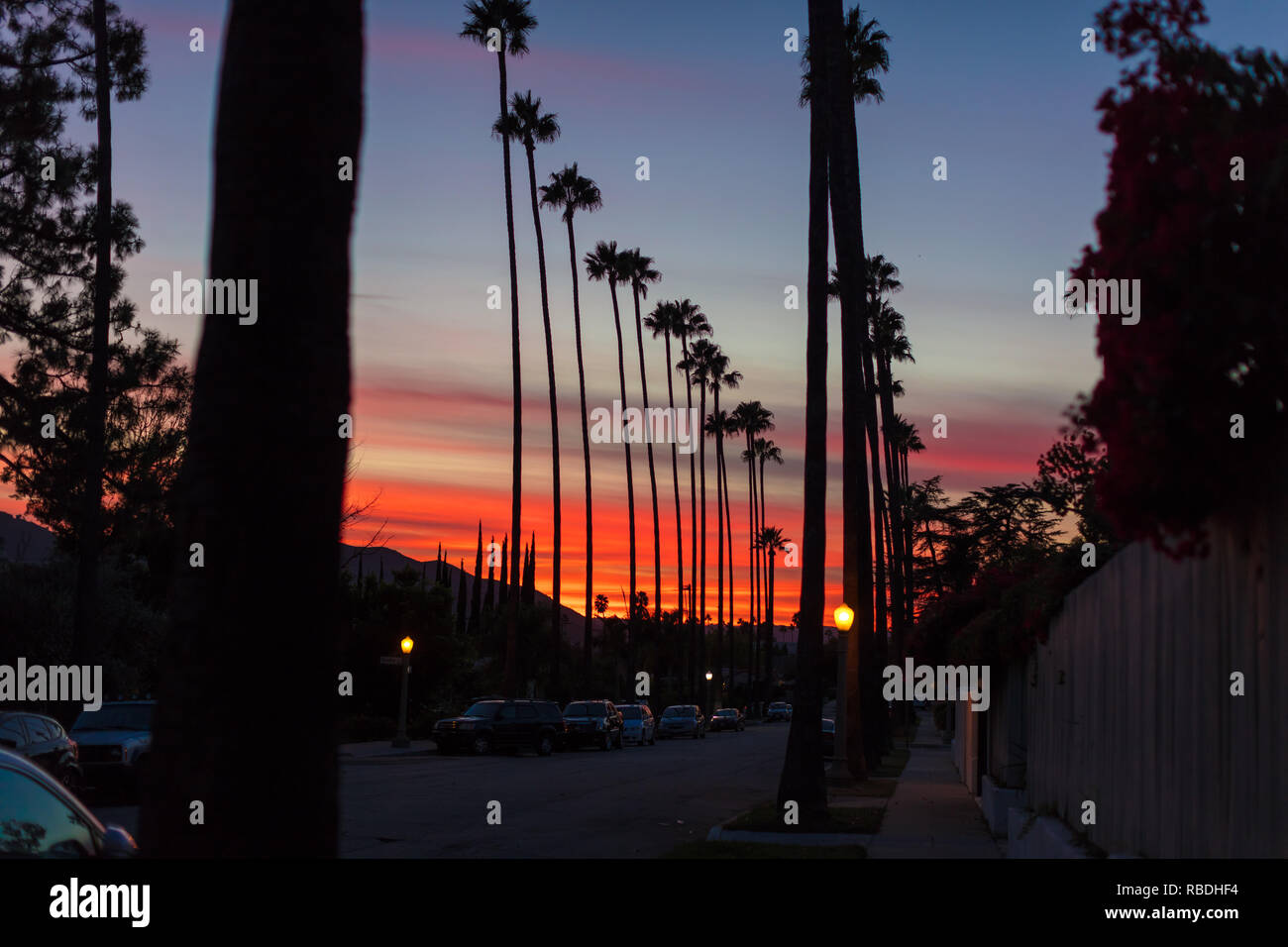 Roter Sonnenuntergang mit Palmen Stockfoto