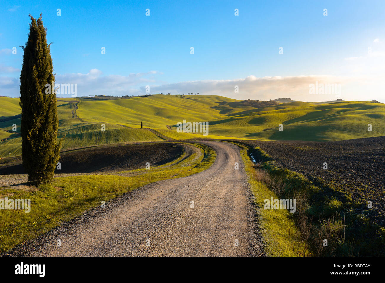 Toskanische Landschaft in der Nähe von San Quirico d'Orcia, mit grünen Hügeln und Zypressen, Italien Stockfoto