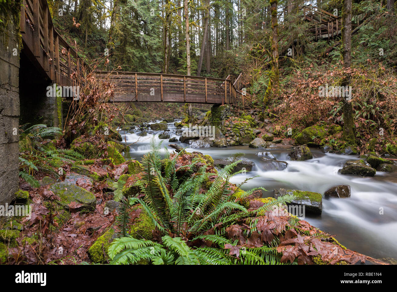 Brücke und Treppen entlang Wanderweg in McDowell Creek Falls County Park in Oregon Stockfoto