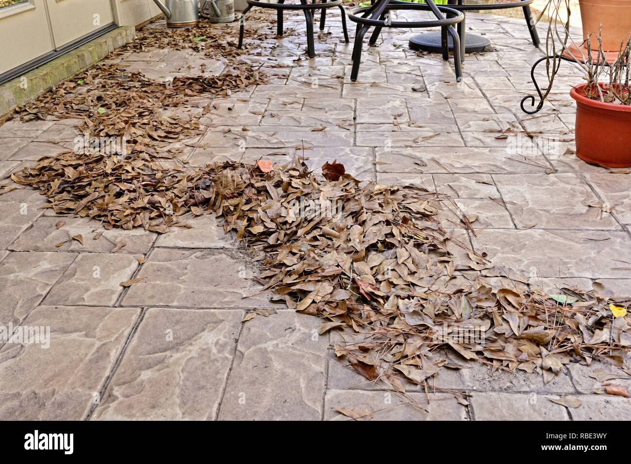 Haufen Laub auf einer Terrasse im Freien. Stockfoto