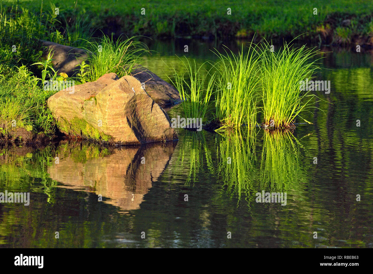 Reflexionen in einem kleinen Teich, Minnesota Wild, Sandstein, Minnesota, USA Stockfoto