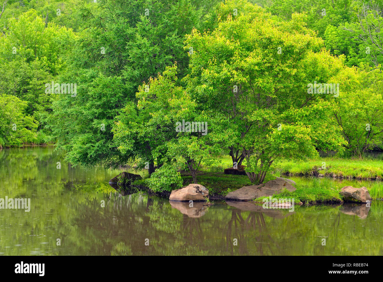 Reflexionen in einem kleinen Teich, Minnesota Wild, Sandstein, Minnesota, USA Stockfoto