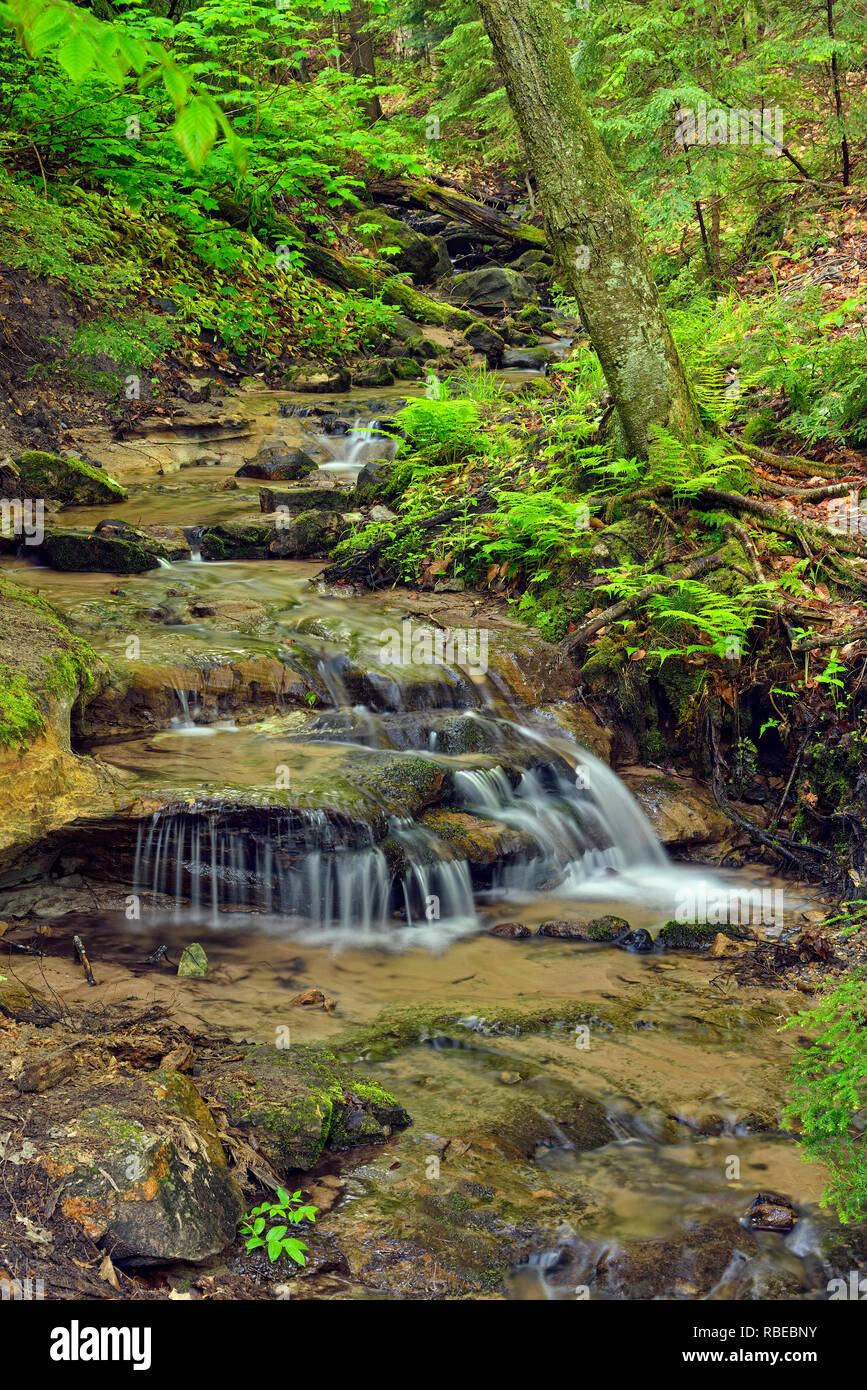 Ein Nebenfluss in den Wäldern in der Nähe von Wagner, Wagner fällt, malerischen Ort, Alger County, Michigan, USA Stockfoto