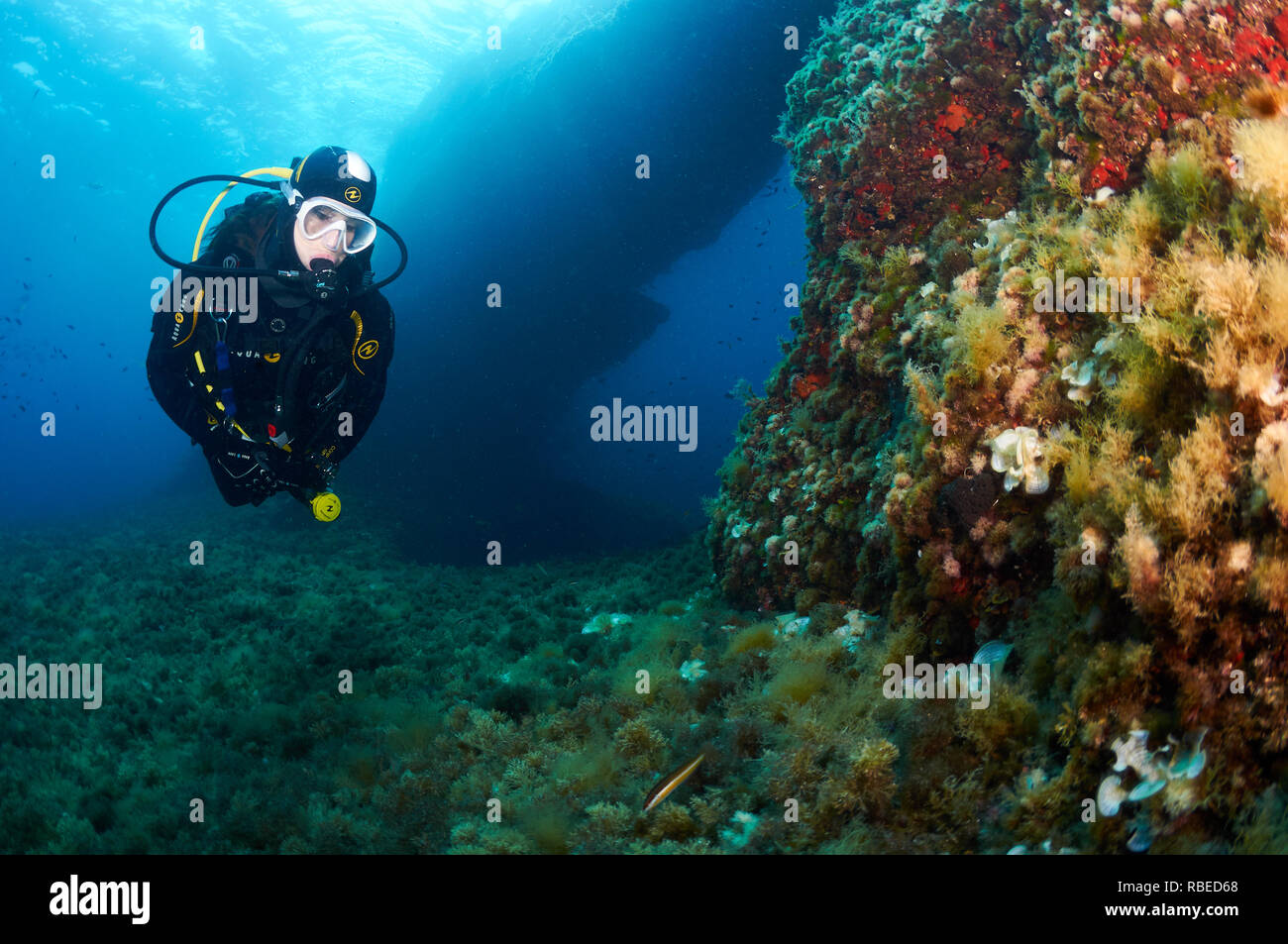 Taucherin mit Aqua Lung Tauchausrüstung in der Nähe eines Unterwasserbogens im Naturpark Ses Salines (Formentera, Mittelmeer, Spanien) Stockfoto