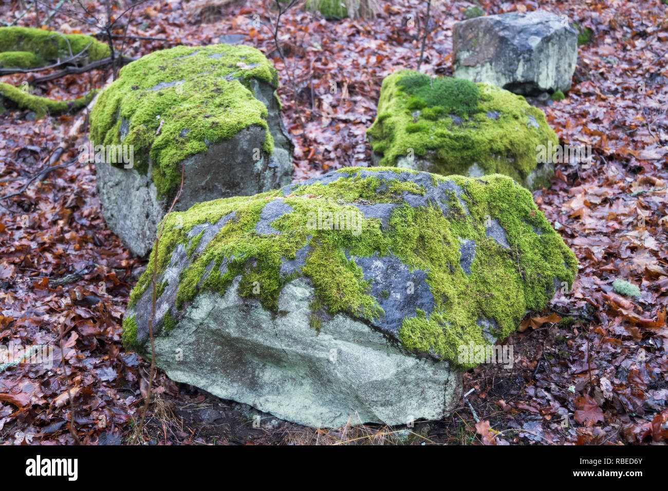 Drei große Felsen in Moos bedeckt Stockfoto