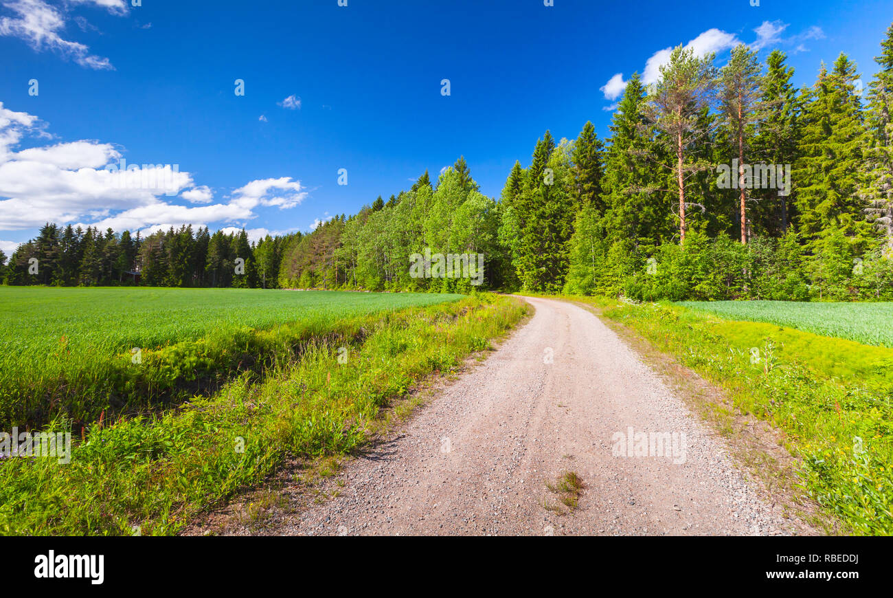 Leere Landstraße in der Nähe der grünen Feld unter blauen Himmel bei Sommertag. Landschaft Hintergrund Foto, Finnland Stockfoto