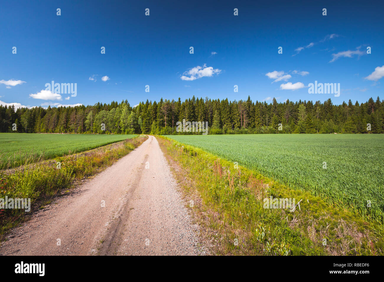 Leere Landstraße biegen Sie über grüne suumer Feld unter blauen Himmel. Landschaft Hintergrund Foto, Finnland Stockfoto