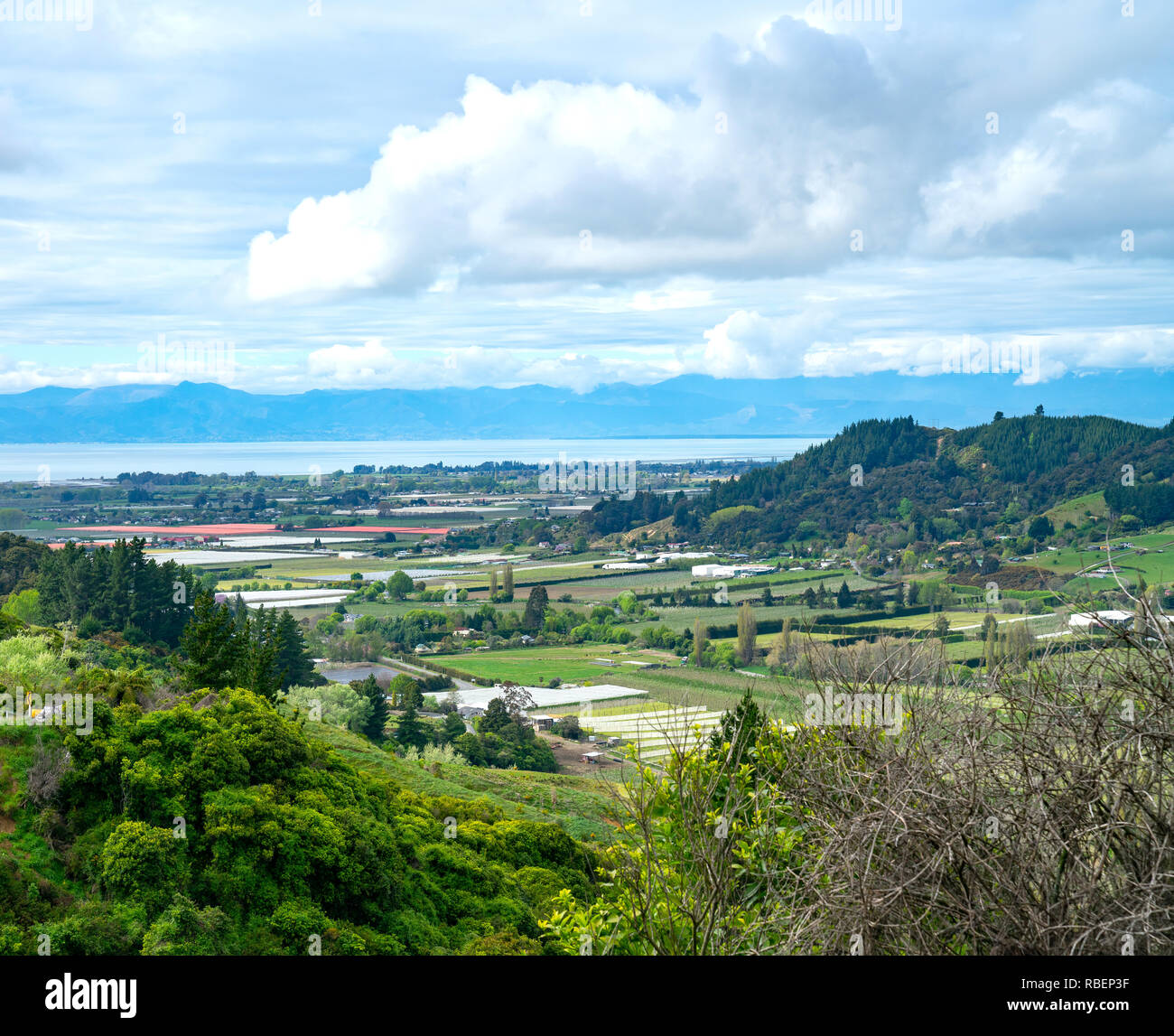 Gemusterten Bereichen Kulturen Linie Tal im Süden der Insel als Hügel weg zur Küste Neuseeland geben Stockfoto