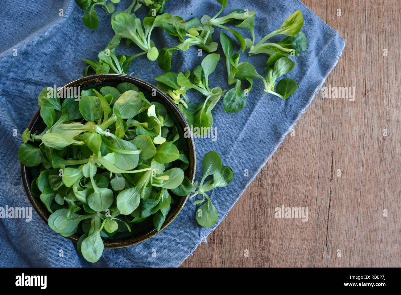 Feldsalat Pflanzen, Feldsalat (Valerianella locusta), Baldrian Salat auf Holz- rustikalen Hintergrund. Platz kopieren Stockfoto