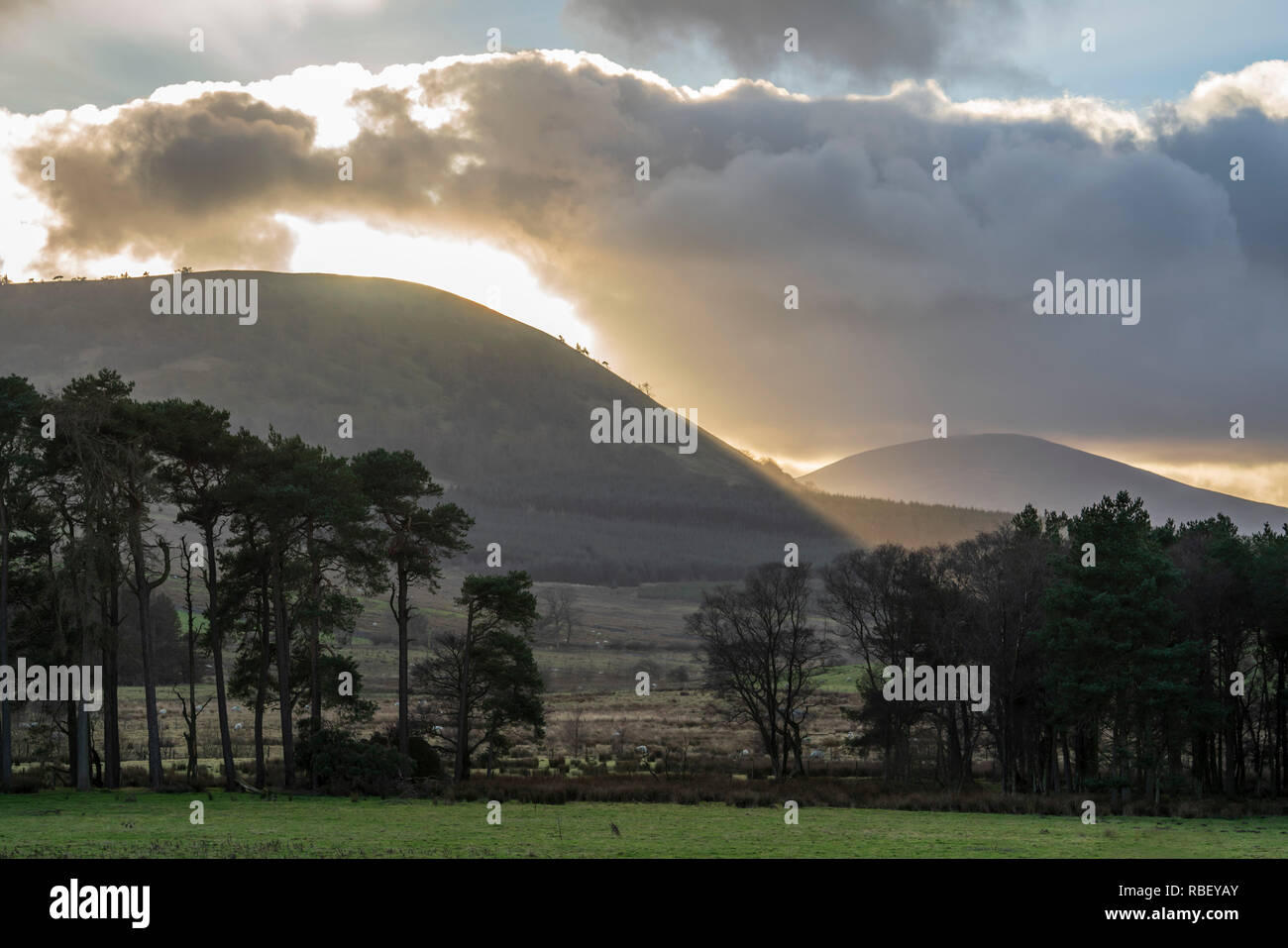 Winter am Nachmittag Landschaft in der Nähe von Hutton Dorf, in der nördlichen Lake District in der Nähe von Penrith, mit großer Mell fiel. Stockfoto