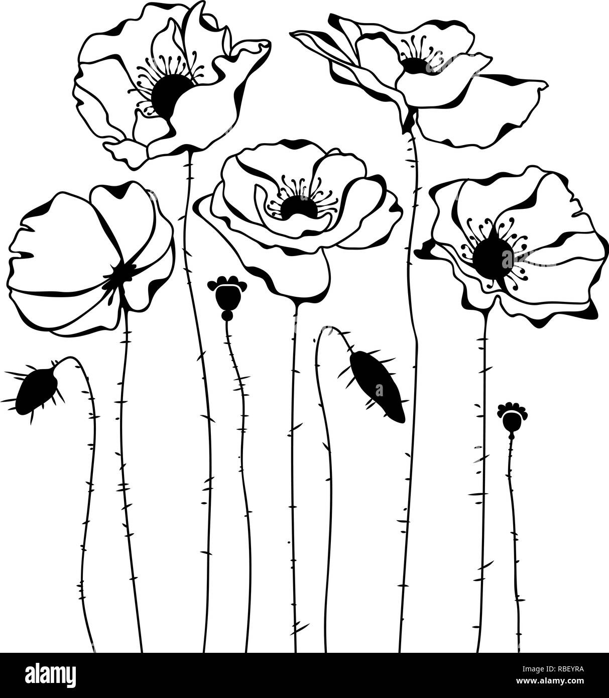 Skizze der Mohnblumen Silhouette auf weißem Hintergrund Stock Vektor