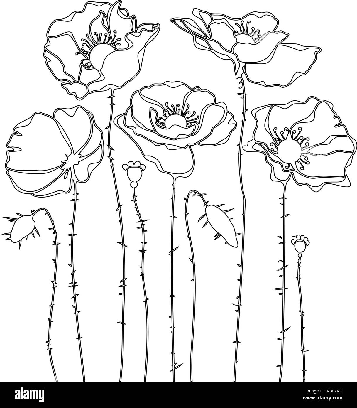 Skizze der Mohnblumen Silhouette auf weißem Hintergrund Stock Vektor