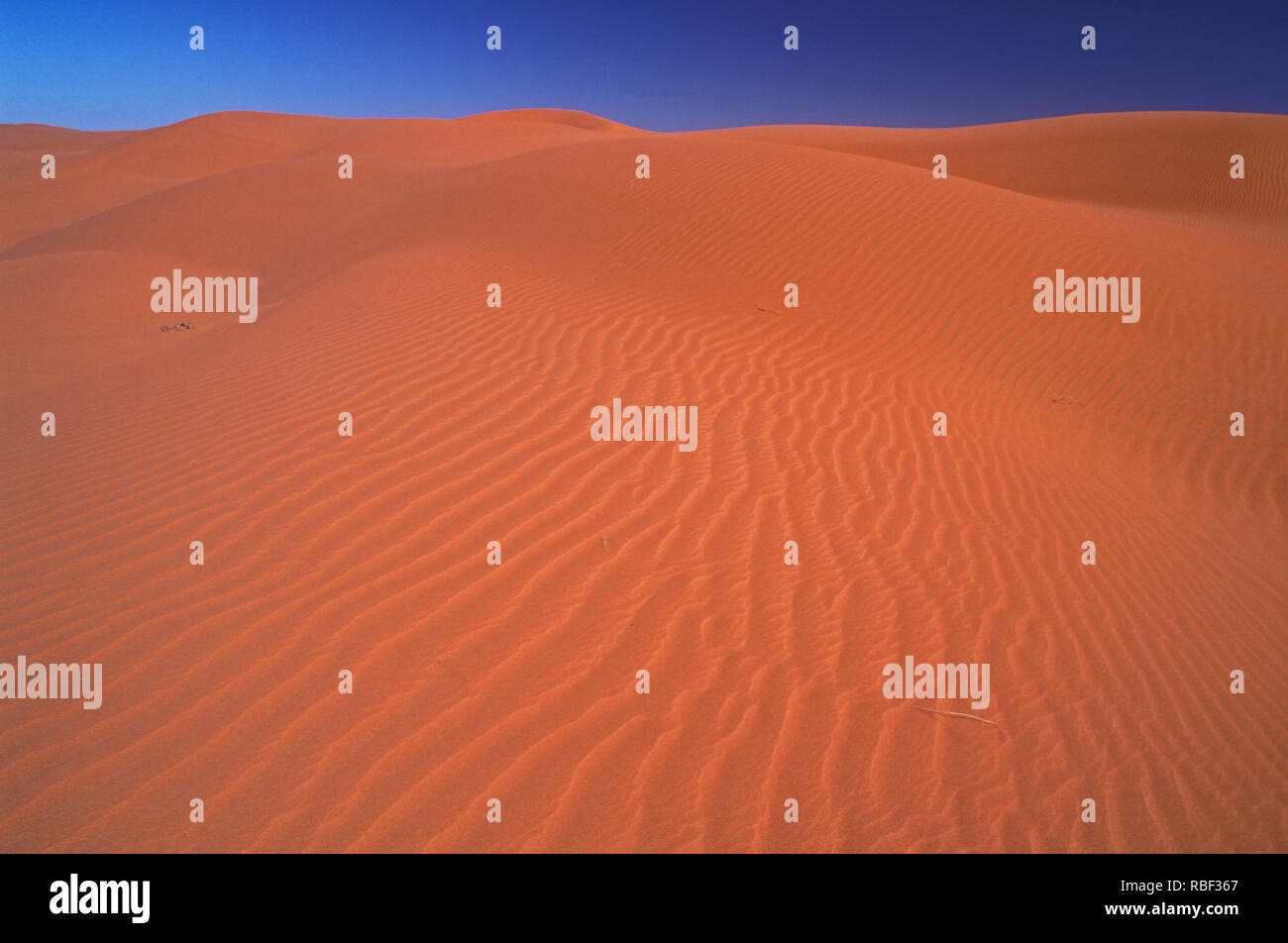 E Simpson Desert ist ein großer Bereich von trockenen, roten Sandstrand und Dünen in Northern Territory, South Australia und Queensland in Australien Stockfoto