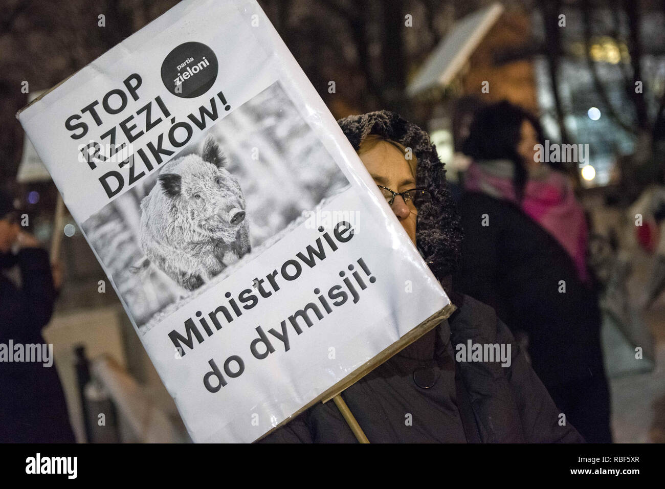 Warszawa, Mazowieckie, Polen. 9 Jan, 2019. Eine Demonstrantin hält ein Plakat gesehen, sagen Halt die Tötung der Wildschweine, die Minister während des Protestes entlassen. Aktivisten waren vor dem Gebäude des Parlaments und im ganzen Land zu protestieren. Die polnische Regierung und das Ministerium für die Umwelt entschieden, dass im Rahmen der Bekämpfung von ASF-Krankheit (Afrikanische Schweinepest), 210.000 Wildschweine, einschließlich trächtige Sauen und Absatzferkeln, auch das Leben in den Nationalparks, in Polen wird slained auf der nächsten drei Wochenenden werden. Die Menschen sind schockiert und denken, dass die Politik gegenüber der Regierung Stockfoto