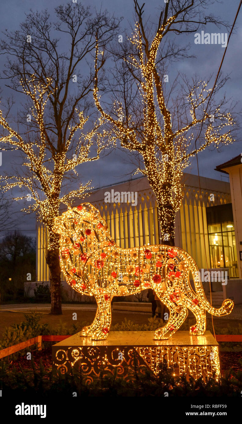 10 Januar 2019, Sachsen, Leipzig: Die Replik eines Löwen und Bäume im Zoo  werden durch LED-Lampen beleuchtet. Bis 03.02.2019 Das gondwanaland im Zoo  und Teile des Gehäuses leuchten in die Abendstunden in