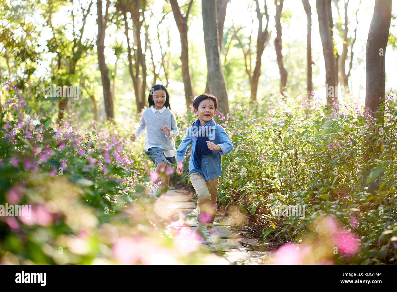 Zwei kleine asiatische Kinder Jungen und Mädchen läuft durch das Feld der Blumen im Park. Stockfoto