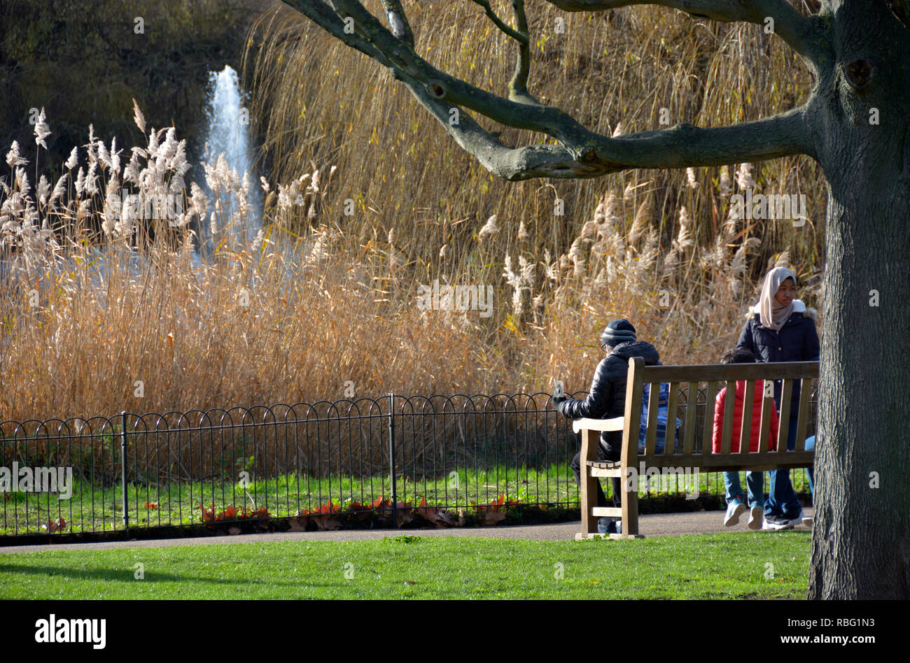 St James's Park im Winter, London, England, UK. Stockfoto